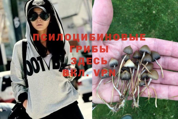 а пвп мука Арсеньев