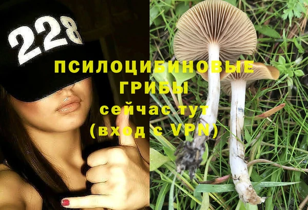 твердый Армянск