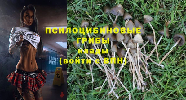 а пвп мука Арсеньев