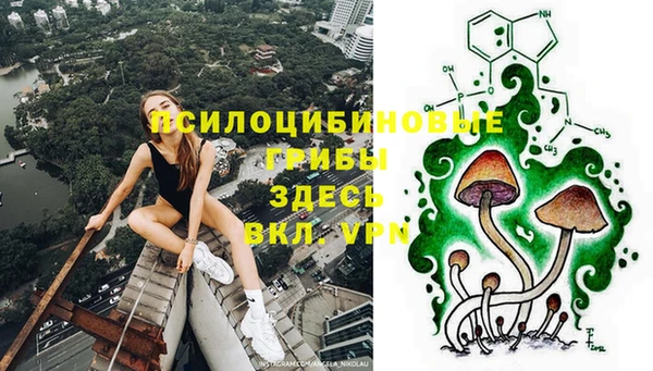 твердый Армянск