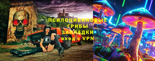apvp Аркадак