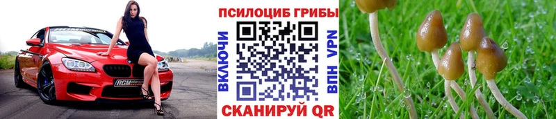Галлюциногенные грибы ЛСД  Купить  Сухой Лог 